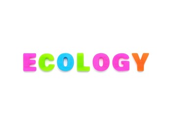 アルファベット　ECOLOGY