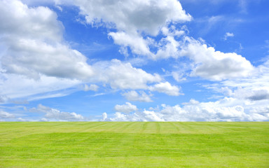 Obraz premium Prairie blue sky