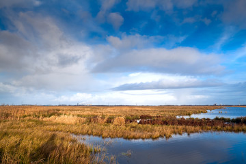 landscape in Drenthe