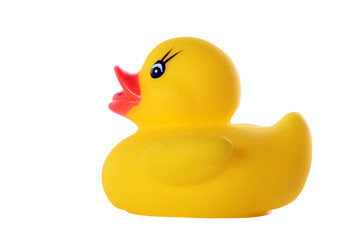 yellow rubber duck isolated on white background