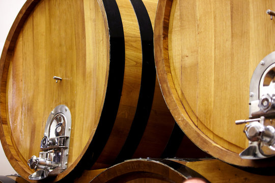barrels in a wine cellar
