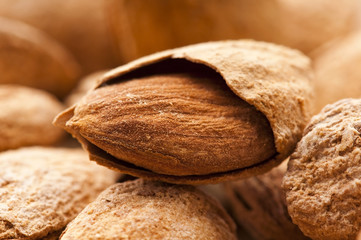 Sweet almonds with kernel