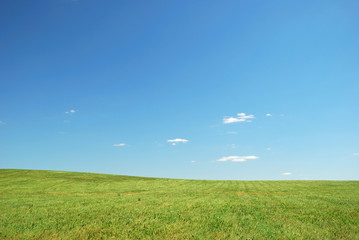 Green field and blue sky