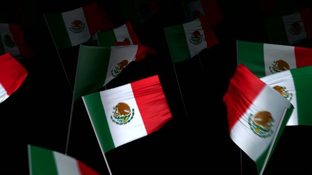 mexico_flag_crowd_3d_loopable