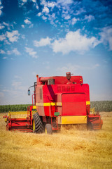 Fototapeta premium Combine harvesting wheat