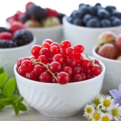 Sommerbeeren