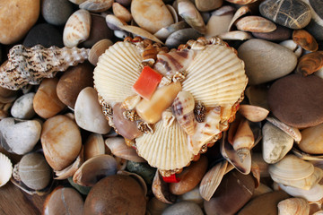 Colored seashells