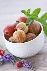 Stachelbeeren