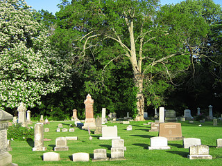 Quiet Cemetery