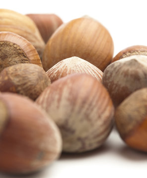 hazelnuts