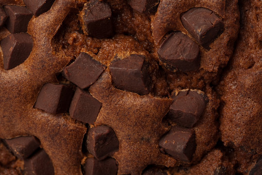 chocolate muffin closeup