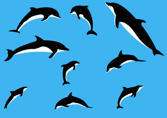 Vector dolphins in various poses