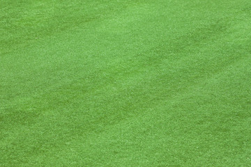 Artificial grass field side view texture - obrazy, fototapety, plakaty
