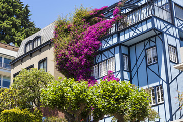 Fototapeta na wymiar Widok z Lombard Street, crookedest ulica na świecie, San