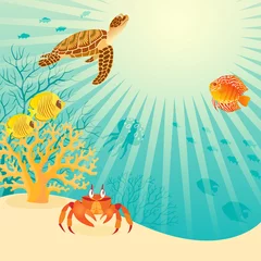 Poster Zonnig onderwaterleven © fireflamenco