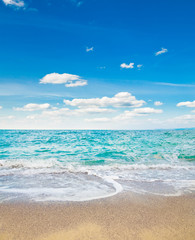 beach and tropical sea
