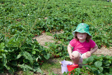 Kleinkind hockt auf dem Erdbeerfeld mit zwei kleinen Blecheimern