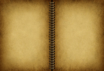 Blank Old Note book