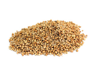 many coriander seeds
