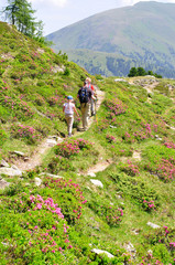 Obraz premium Wandern