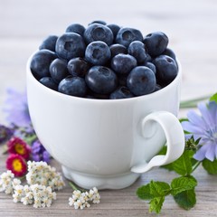 Sommer Heidelbeeren