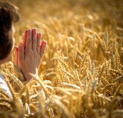 Appreciation for the rich harvest