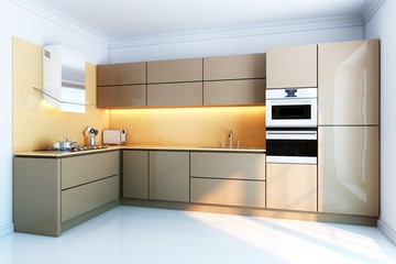 new kitchen interior with brown lacquer boxes facades