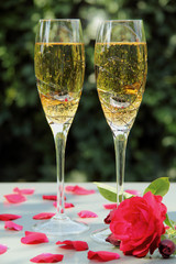 flut con champagn