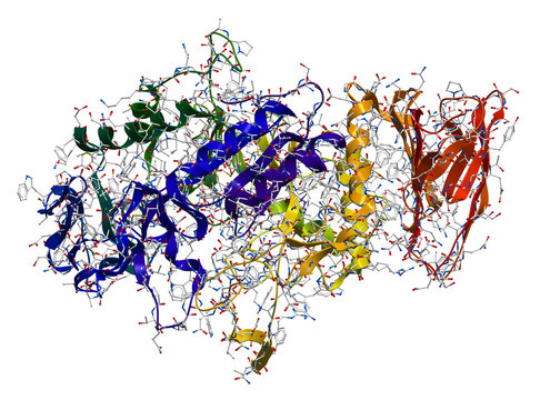 Enzyme Alpha-Amylase. 3D molecular structure