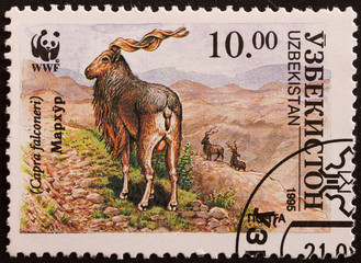 francobollo Uzbekistan