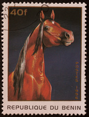 francobollo Benin