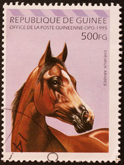 francobollo guinea