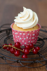 Vanill Cupcake