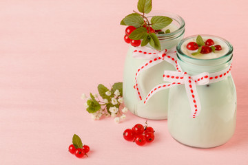 Redcurrant yoghurt with peppermint