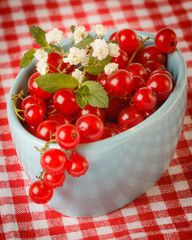 Bowl of red currant isolated on rustic napkin