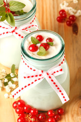 Redcurrant yoghurt with peppermint