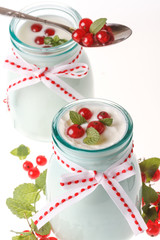 Redcurrant yoghurt with peppermint