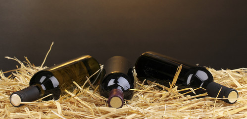 Bottles of great wine on hay on brown background
