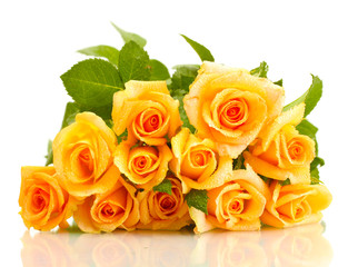 beautiful bouquet of roses isolated on white