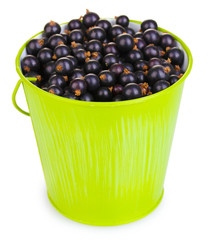 Black currant in metal bucket isolated on white