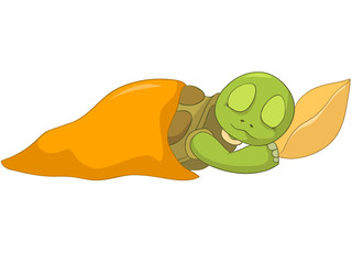 Funny Turtle. Baby Sleeping