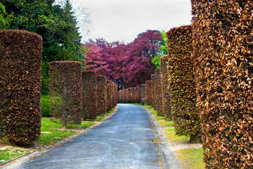Beautiful alley of the Atomium park in Brussel