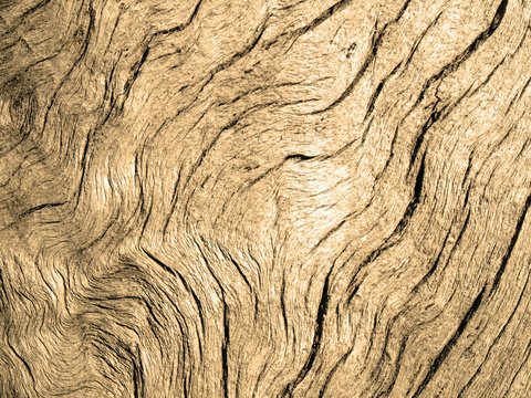 Wooden background