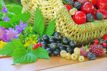 Beeren im Korb - berries in basket 01
