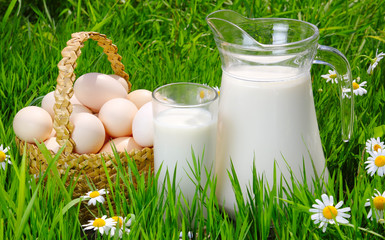 Jug and glass of milk with eggs, grass and daisies