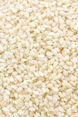 Sesame seeds background
