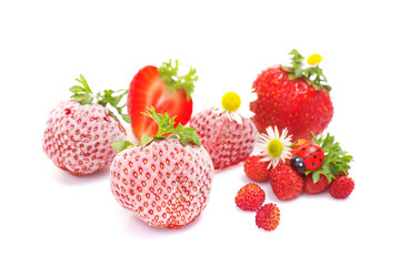 fresh and frozen strawberries on white