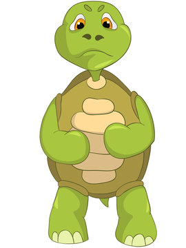 Angry Turtle.