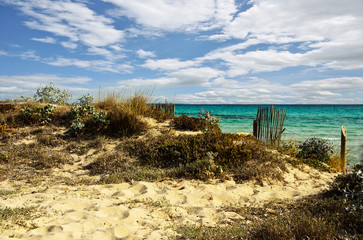 Sommer-Urlaub: Dühnenstrand an Mittelmeer / Mallorca