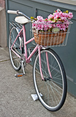 Fototapeta na wymiar Vintage Pink Bicycle with Pink Flowers